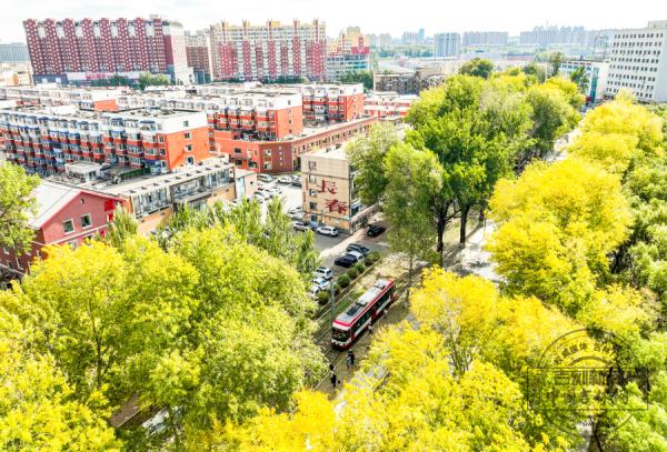 W020251023399748396267.jpg W020251023399748396267.jpg