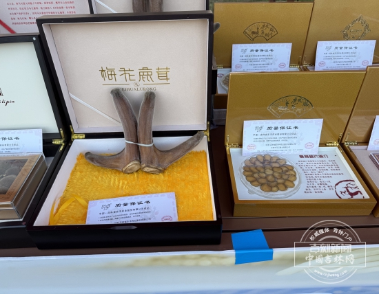 IMG_1857.jpeg IMG_1857.jpeg