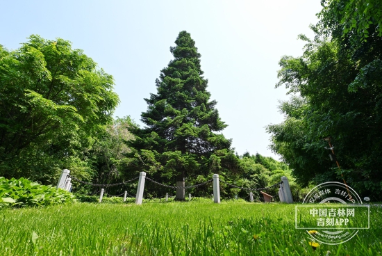 W020250530361361912042.jpg W020250530361361912042.jpg