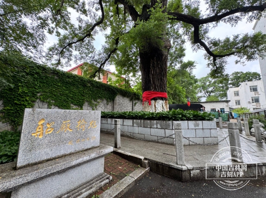 W020250625501366932915.jpg W020250625501366932915.jpg