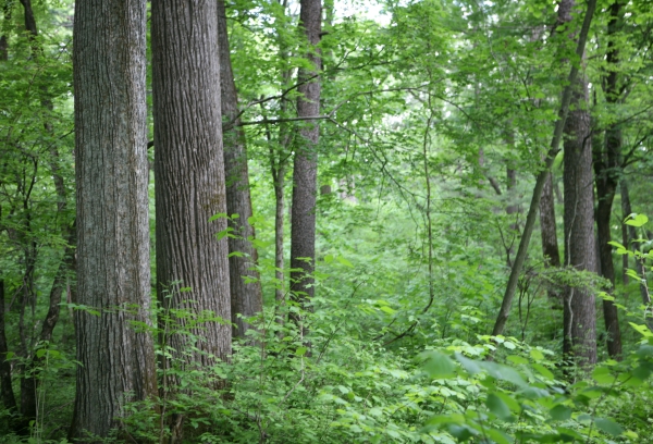 微信图片_2025-11-14_121824_618.jpg 微信图片_2025-11-14_121824_618.jpg