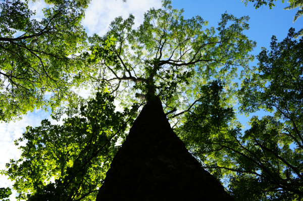 微信图片_2025-11-14_122903_421.png 微信图片_2025-11-14_122903_421.png