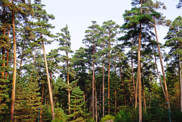 图虫创意-727464647078576211.jpeg 图虫创意-727464647078576211.jpeg