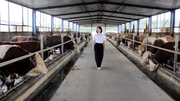 微信图片_20251117133309.png 微信图片_20251117133309.png