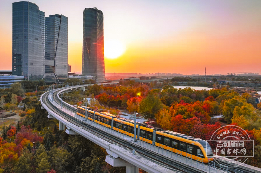 W020251030373253429308.jpg W020251030373253429308.jpg