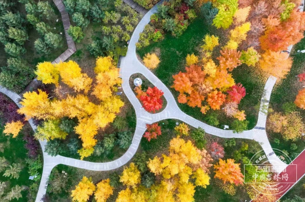 微信图片_20251119202241_349_122.jpg 微信图片_20251119202241_349_122.jpg