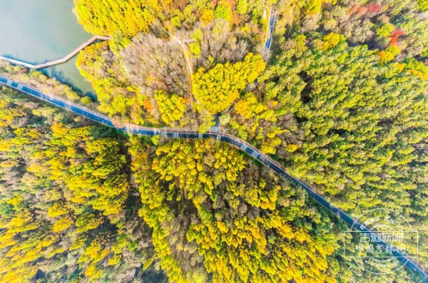 微信图片_20251119202309_350_122.jpg 微信图片_20251119202309_350_122.jpg