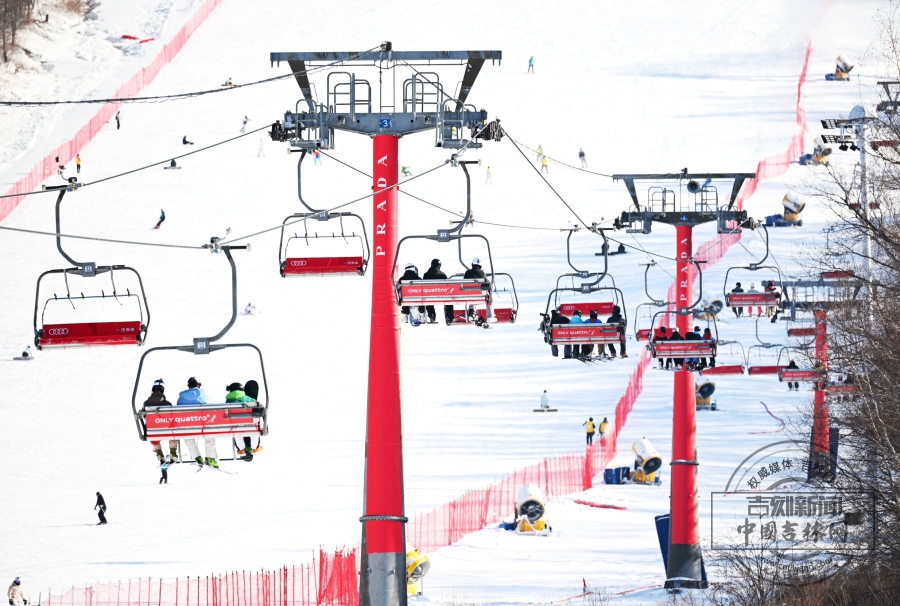 W020251121831536451797.jpeg W020251121831536451797.jpeg