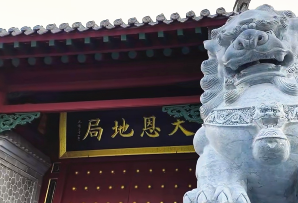 W020250827335480274118 (1).png