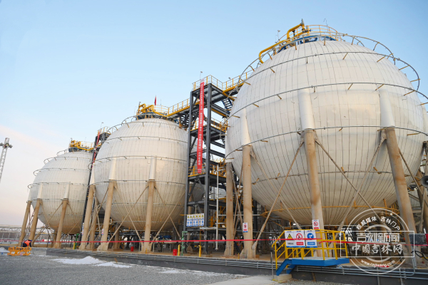 mmexport1765889732594.jpg mmexport1765889732594.jpg