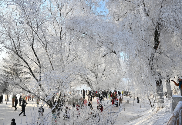 mmexport4b3fa96c89f6c4b32892804f28437e22_1766735627456.jpeg mmexport4b3fa96c89f6c4b32892804f28437e22_1766735627456.jpeg