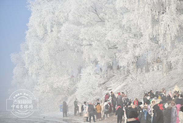 mmexportf8ff9868242266c8be2d1cfddaaa32ba_1766735262934.jpeg mmexportf8ff9868242266c8be2d1cfddaaa32ba_1766735262934.jpeg