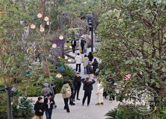 微信图片_20260101105324_304_17.jpg 微信图片_20260101105324_304_17.jpg