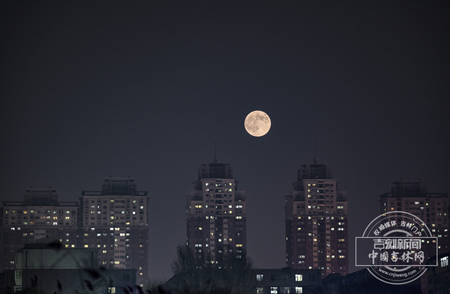 W020251105809158121388.jpg W020251105809158121388.jpg