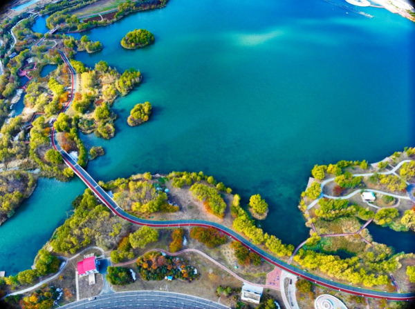 图片5.png 图片5.png