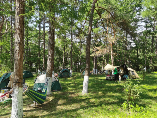 东丰.png 东丰.png