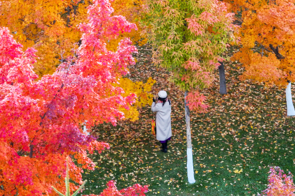 D17537ACEC669B7953517E157DB9B744.jpg D17537ACEC669B7953517E157DB9B744.jpg