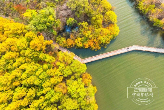 微信图片_20260129203037_548_122.jpg 微信图片_20260129203037_548_122.jpg