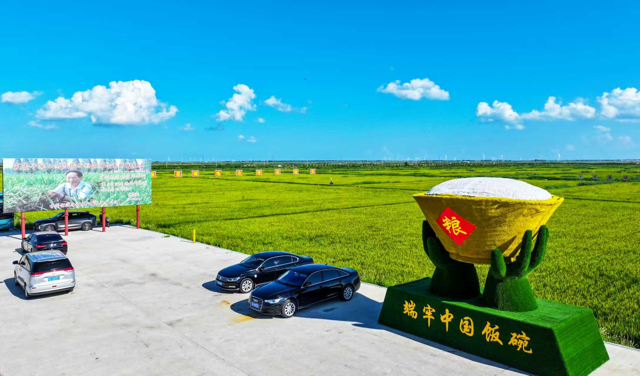 图片3.png 图片3.png