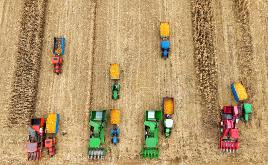 微信图片_20251117092141_8_1279.png 微信图片_20251117092141_8_1279.png