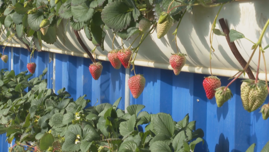 ScreenShot_2026-02-21_192958_871.png ScreenShot_2026-02-21_192958_871.png