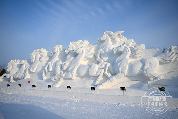 W020260115811345493461.jpg W020260115811345493461.jpg