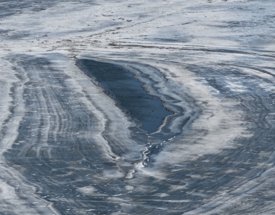 嫩江春水里的野鸭 (1).JPG