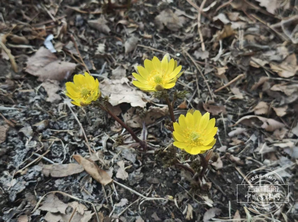 微信图片_20260405093125_1180_111.jpg 微信图片_20260405093125_1180_111.jpg