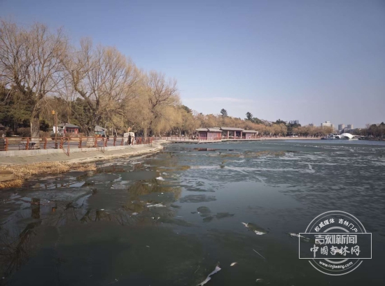 微信图片_20260405093125_1181_111.jpg 微信图片_20260405093125_1181_111.jpg