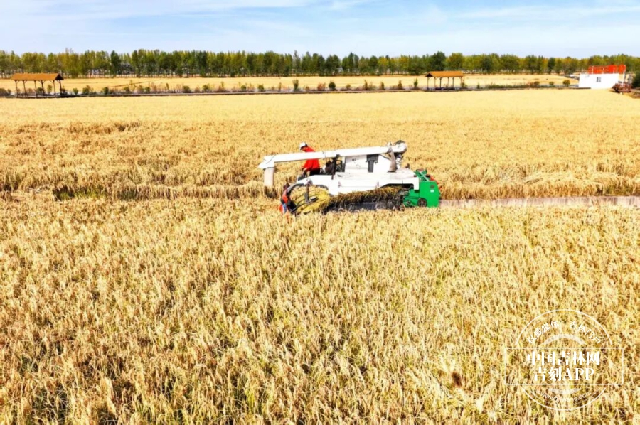 W020251013557732130480.jpg W020251013557732130480.jpg