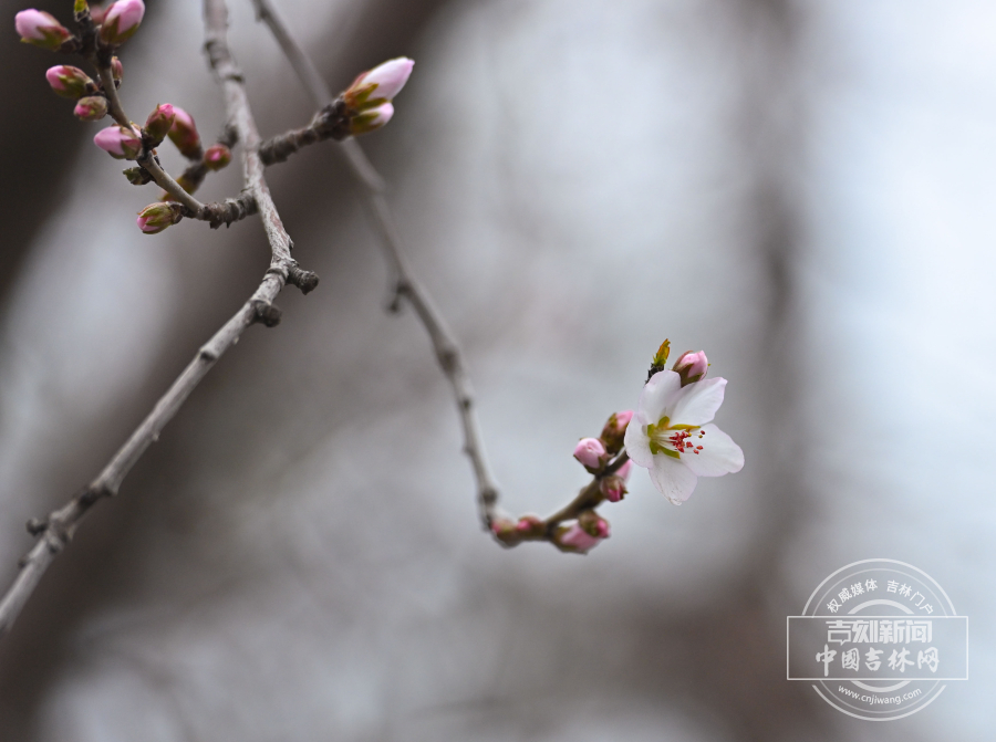 W020260409805788770621.jpg W020260409805788770621.jpg