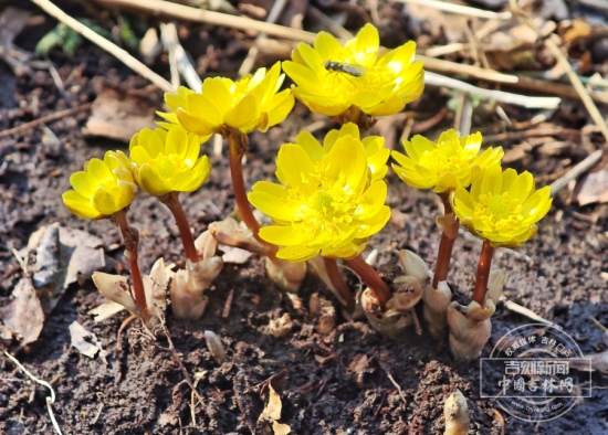 W020260323588885179931.jpg W020260323588885179931.jpg