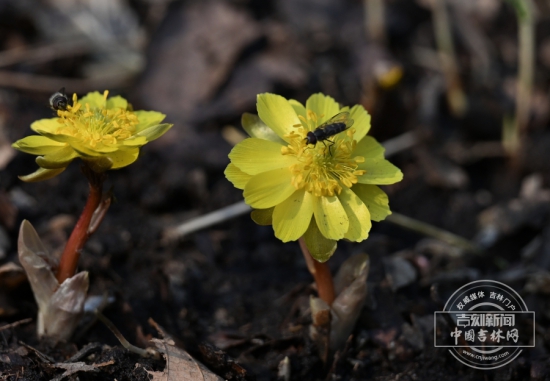 W020260323588884521581.jpg W020260323588884521581.jpg