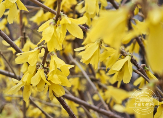 W020260409812512376414.jpg W020260409812512376414.jpg