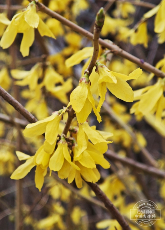 W020260409812514018348.jpg W020260409812514018348.jpg