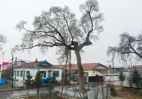 微信图片_20260508103052_3958_24.jpg