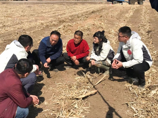 王贵满在田间讲解梨树模式.jpg