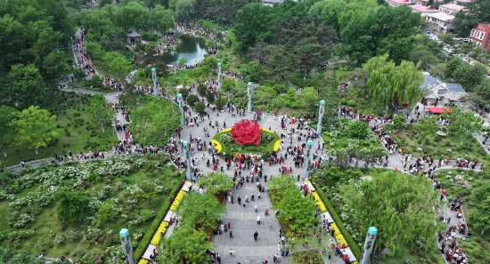 图片1.JPG