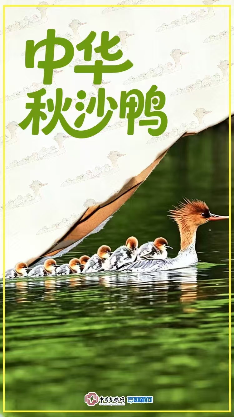 微信图片_20260606181627_11_2.jpg