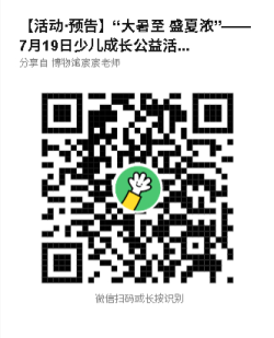 图片13.png