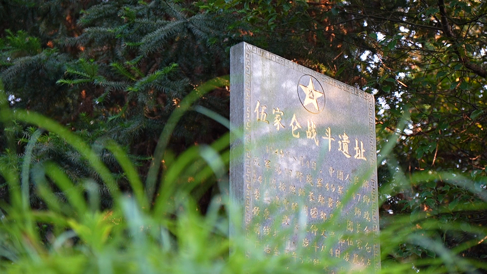 微信图片_20260723174251_2948_348.png 微信图片_20260723174251_2948_348.png