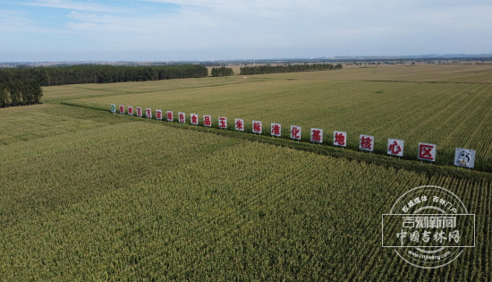 DJI_0149.JPG