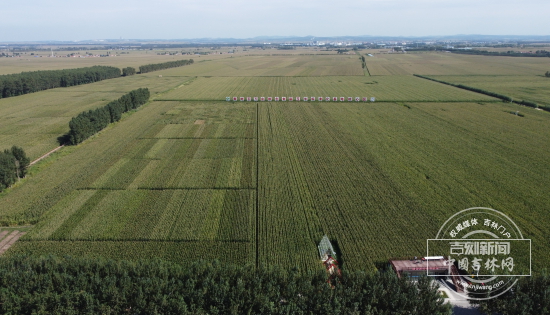 DJI_0166.JPG