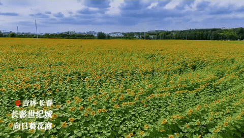 1000107079.gif
