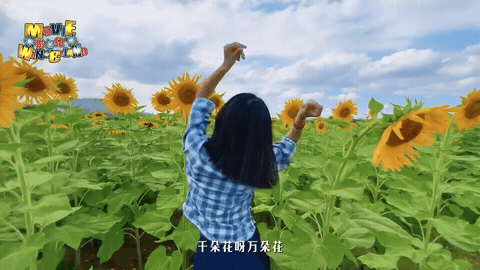 1000107081.gif