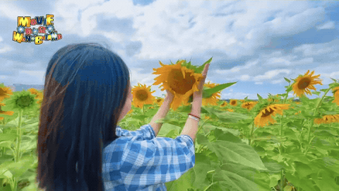 1000107083.gif