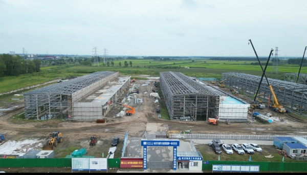 mmexport1789022794254.jpg