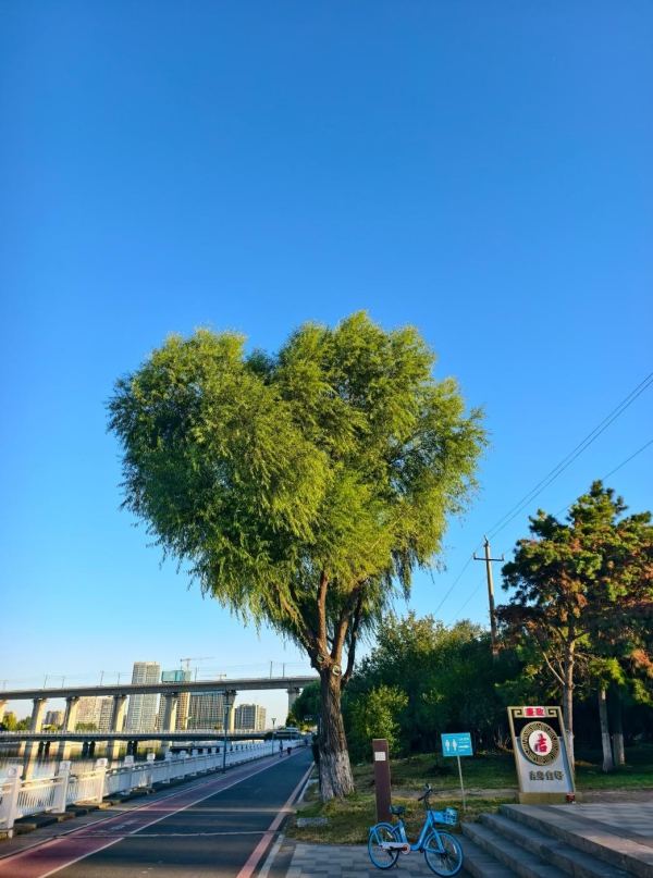 图片1.jpg 图片1.jpg