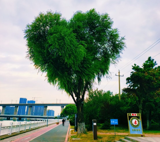 图片2.jpg 图片2.jpg