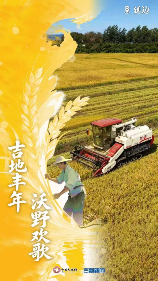 延边 稻田.jpg